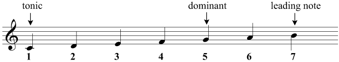 The tonic, dominant, and leading note in C major